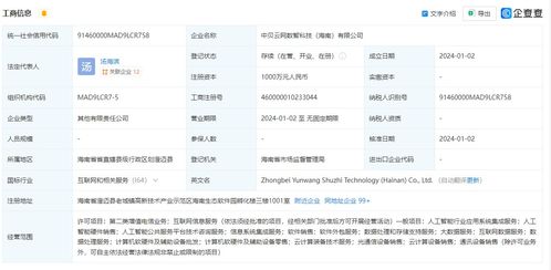 中貝通信在海南成立數智科技公司，拓展AI業務與信息系統集成服務